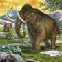 Puzzle conducatori primitivi 3x49 piese